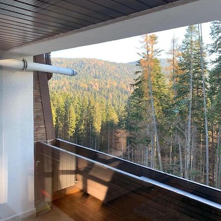 Cioplea View Apartment Predeal Exterior foto