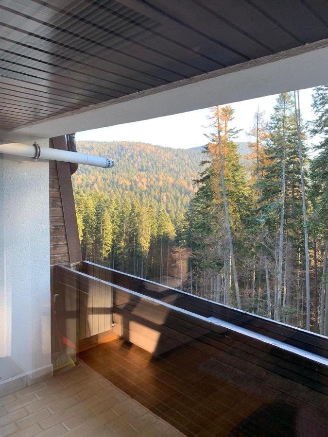 Cioplea View Apartment Predeal Exterior foto